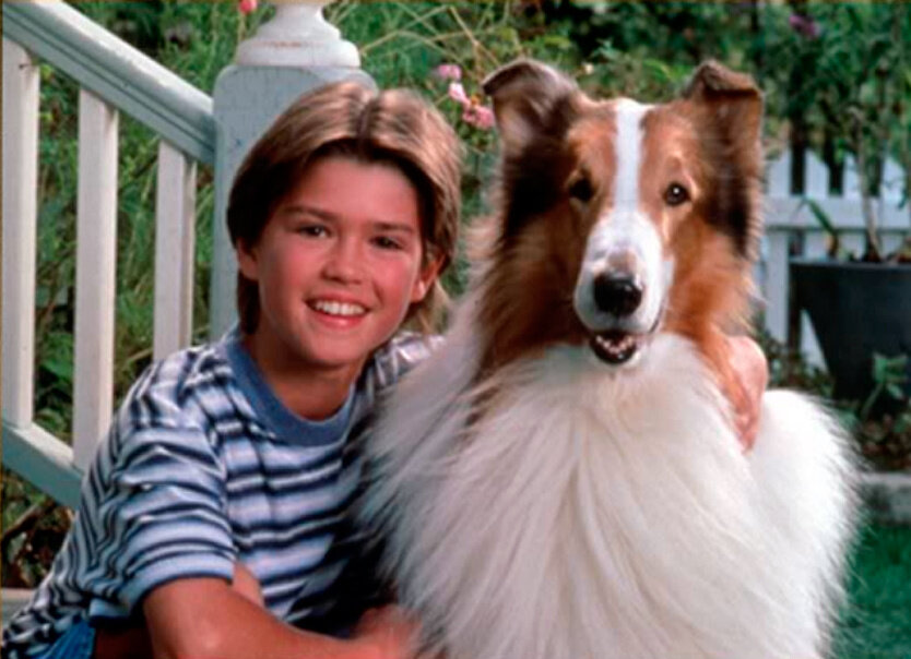 лесси срослась с диваном