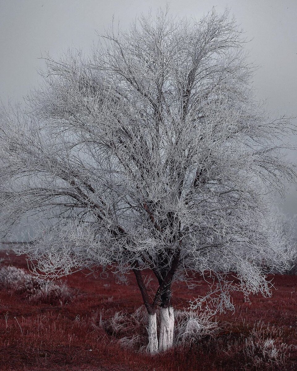 фото взято в Instargam