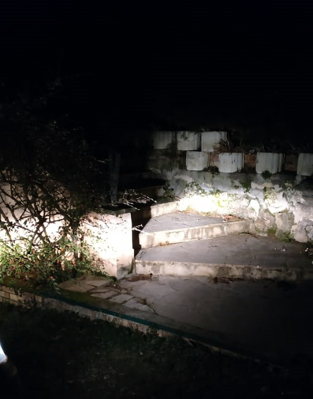 При свете фар в ночи...