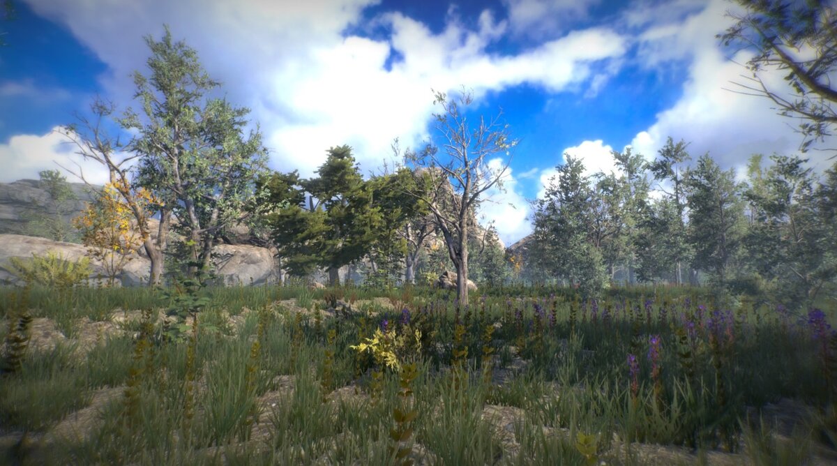 Лес выглядит действительно неплохо, но его размеры очень утомляют. В игру вроде добавили спринт, но он настолько слабый, что ситуацию почти и не спасает