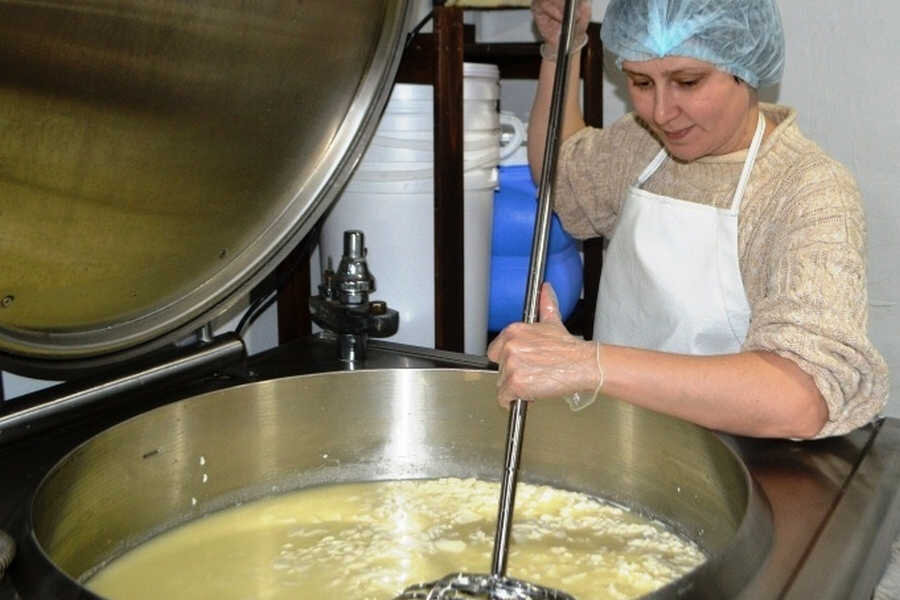 Процесс варки сыра. Фото Дениса Мукимова.