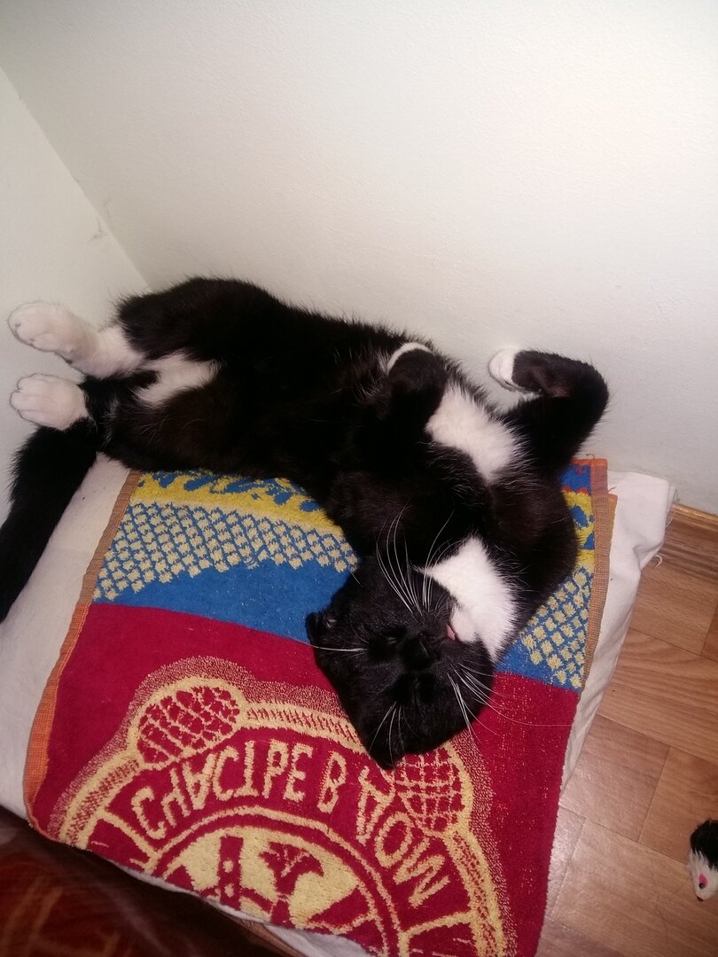 Так Сурен выглядел в первый день нашего знакомства