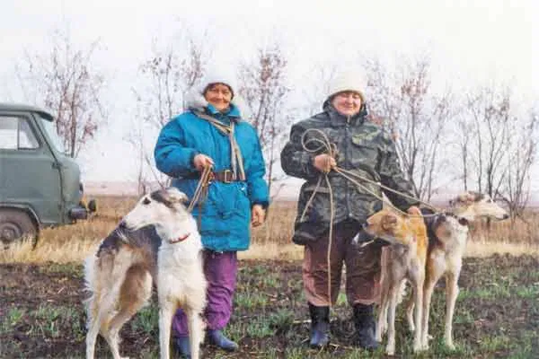 Русские псовые борзые