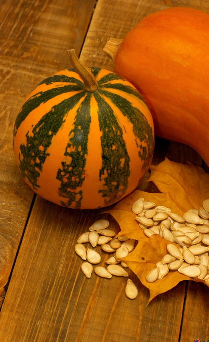 Какая тыква полезнее (сырая, вареная, печеная)
Сырой овощ обогащен биологически активными соединениями, плодотворно влияющий на общее самочувствие. Однако, далеко не все могут употреблять плод в сыром виде. Правильно приготовленный продукт насытит и напитает, улучшит состояние организма в целом.

Отварная на пару

Овощ на пару сохраняет множество микроэлементов, помогающих эффективно сбрасывать вес, удаляет токсические вещества. Плоды, томленные на водяной бане, способствуют снятию отеков, а также облегчают симптомы токсикоза во время беременности.