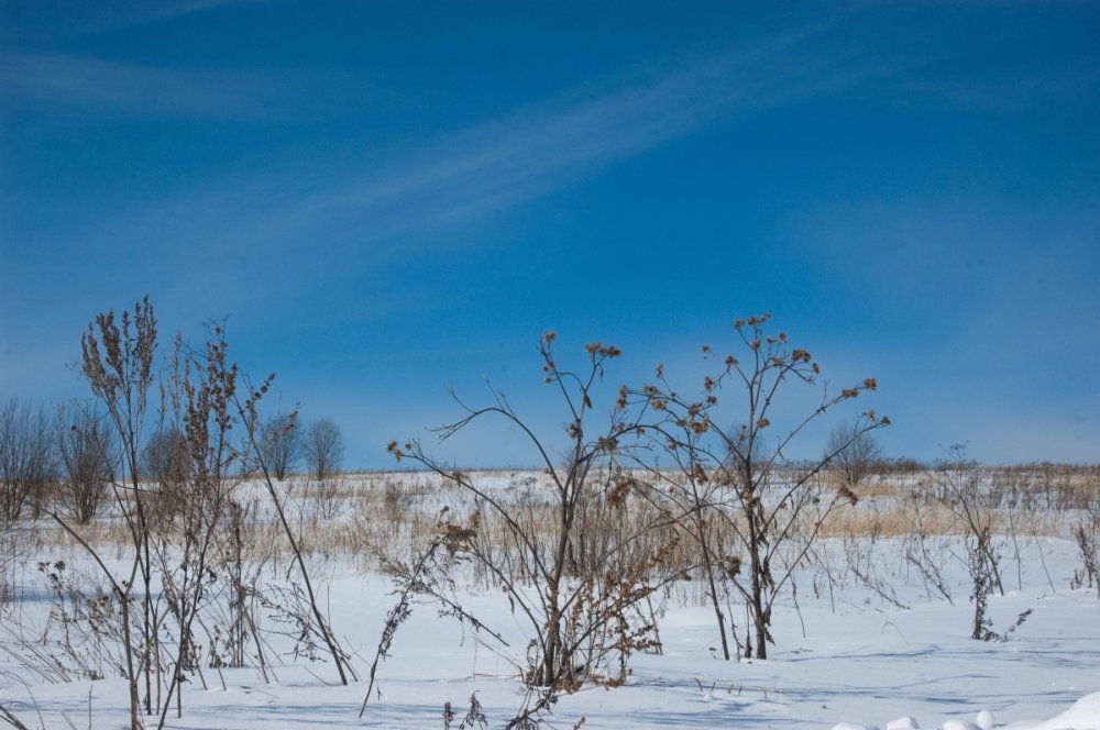 Когда то снега весной бывало и так!)