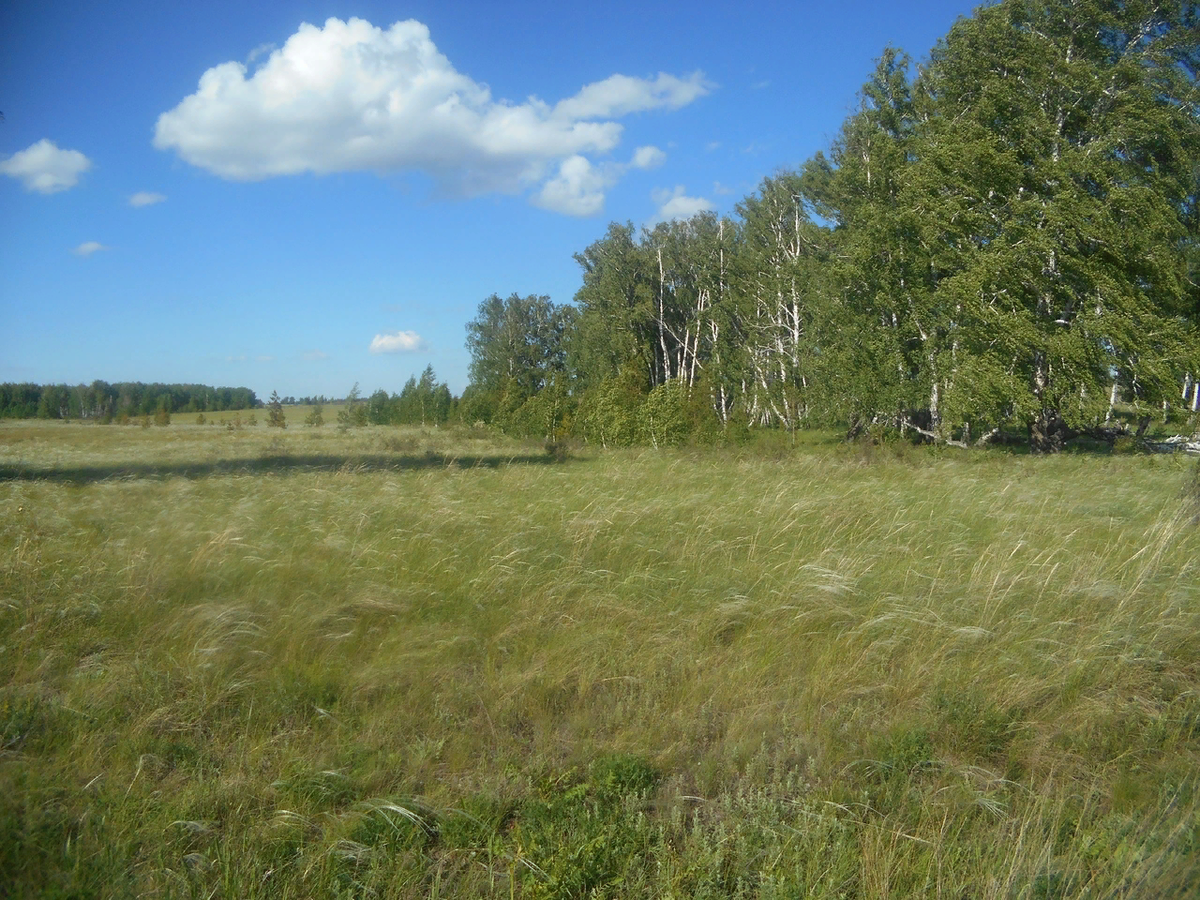 Автор: Виктор Зыков