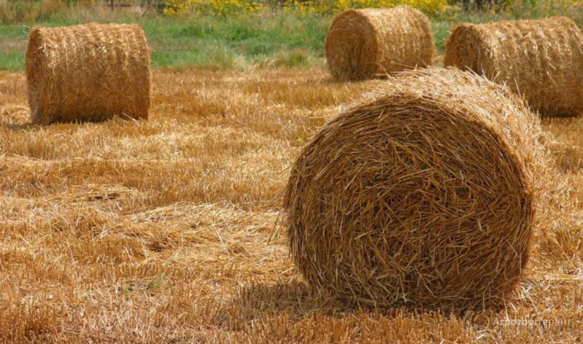 мало соломы, мало