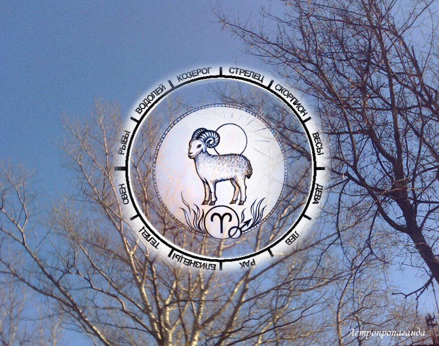 Коллаж Нины Стрелковой.