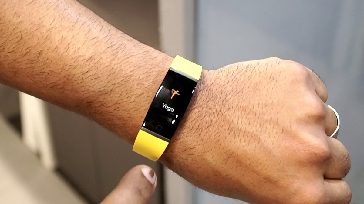 Источник: Открытый доступ