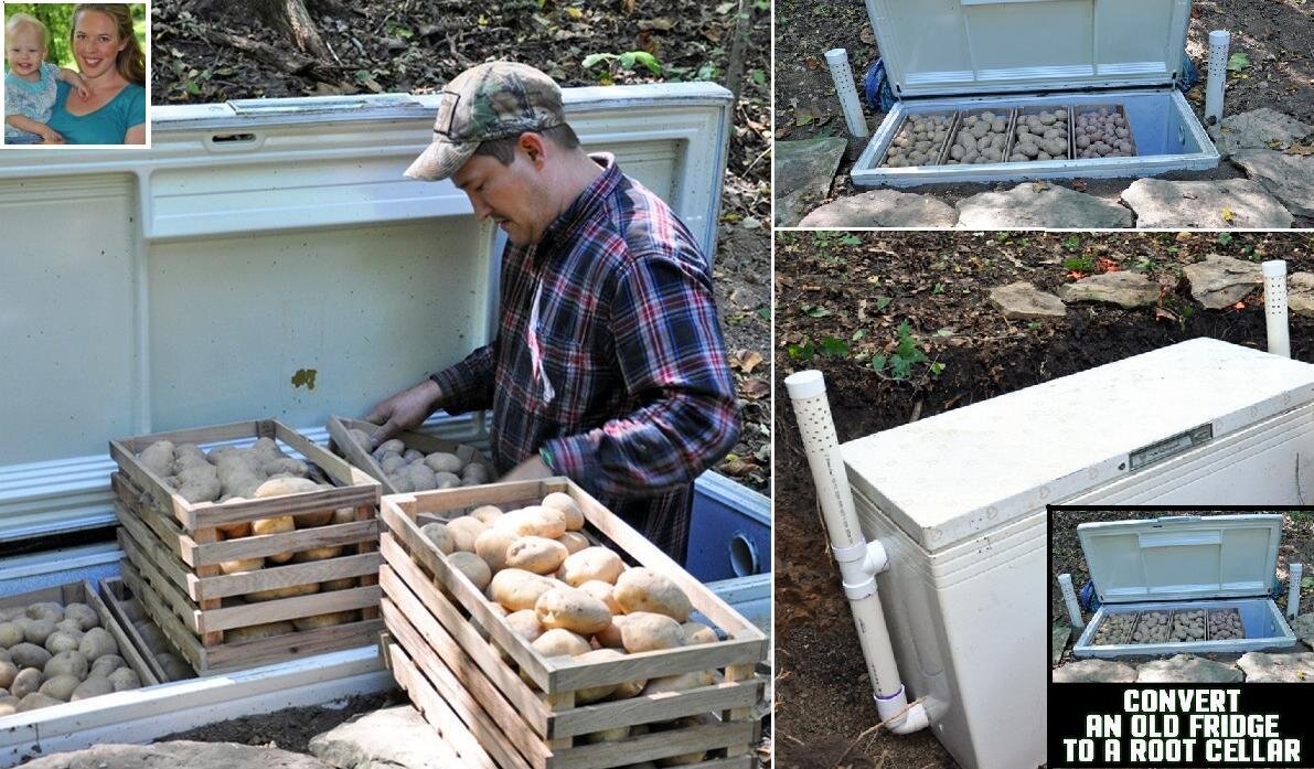 Картофельный мини-погреб Менди и Клайда из Огайо (США)