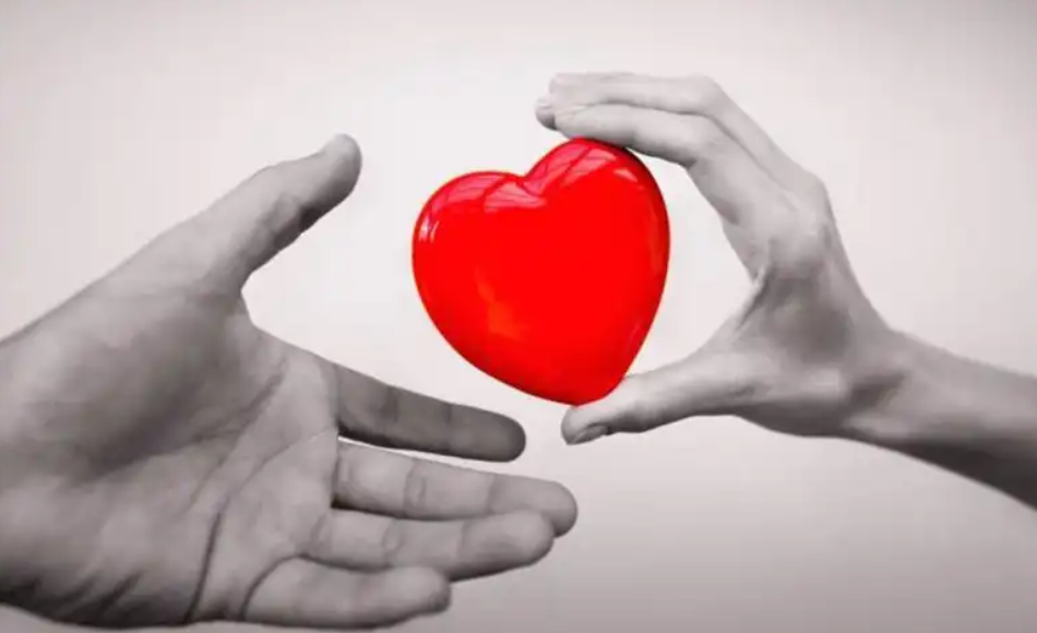 Фото из открытых источников.