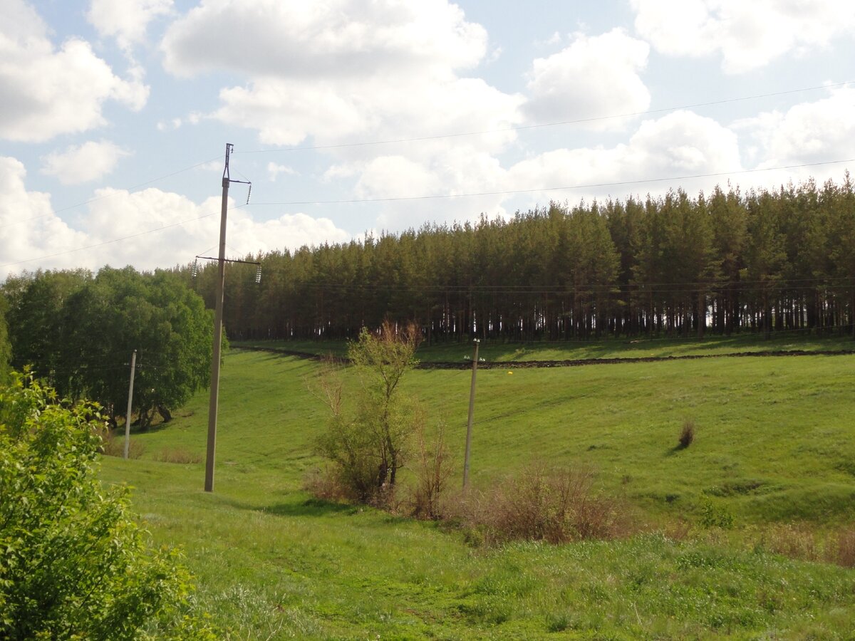 вдоль дороги в Башкирии. Фото из личного архива