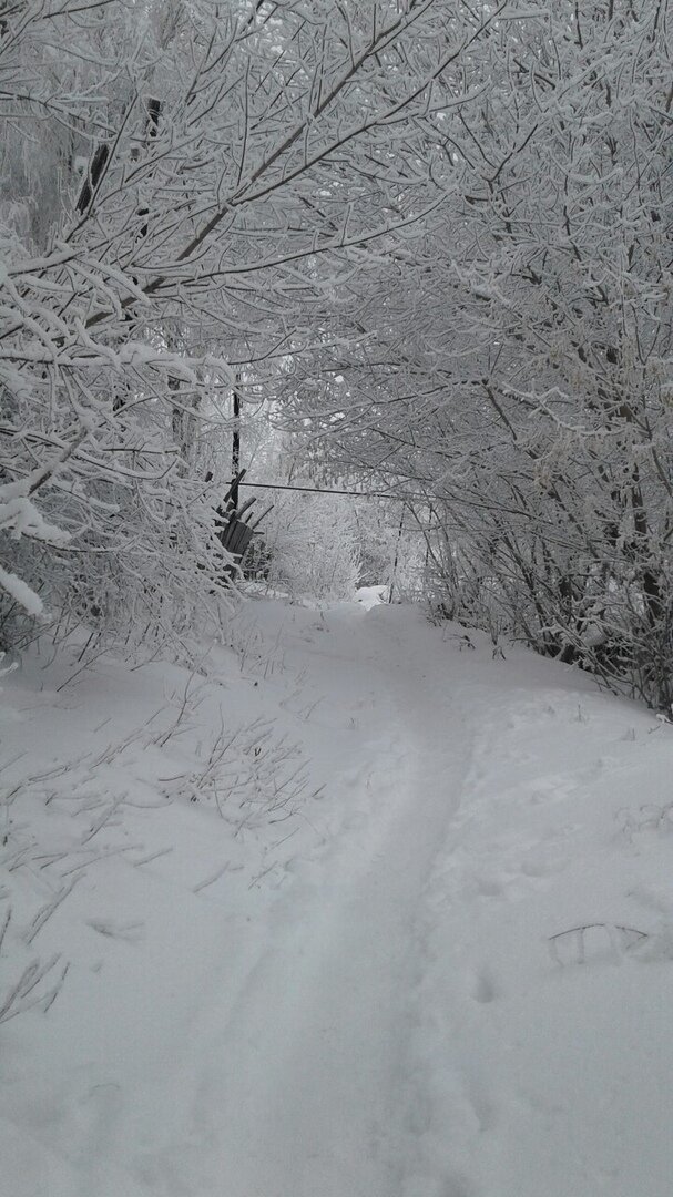 Гора зимой (фото автора)