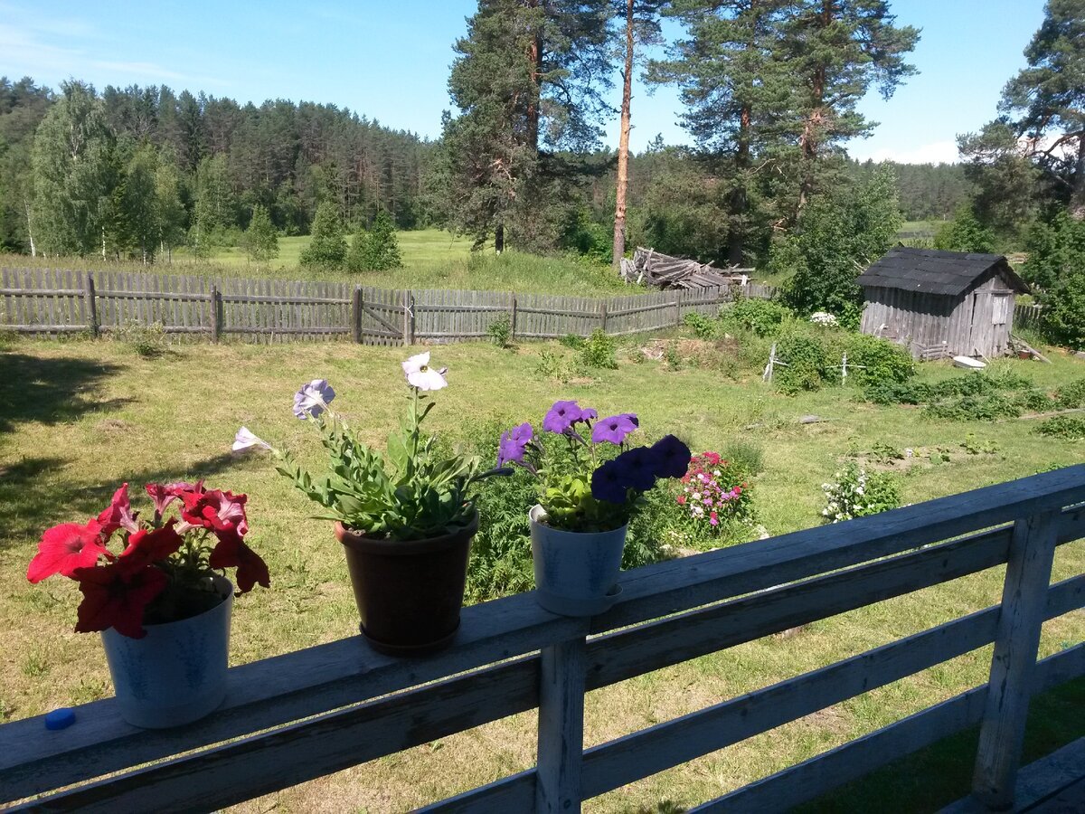 Вид с  террасы моего дома