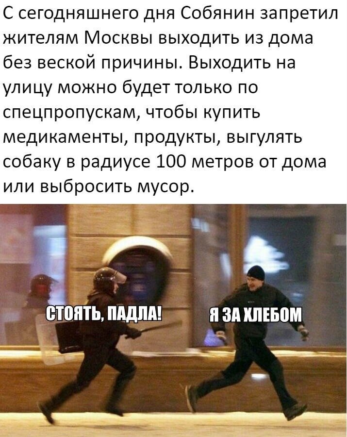 С уважением  Сибирёва В.П