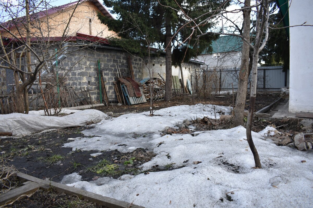 Чуть-чуть и снег сойдет окончательно! Фото автора!