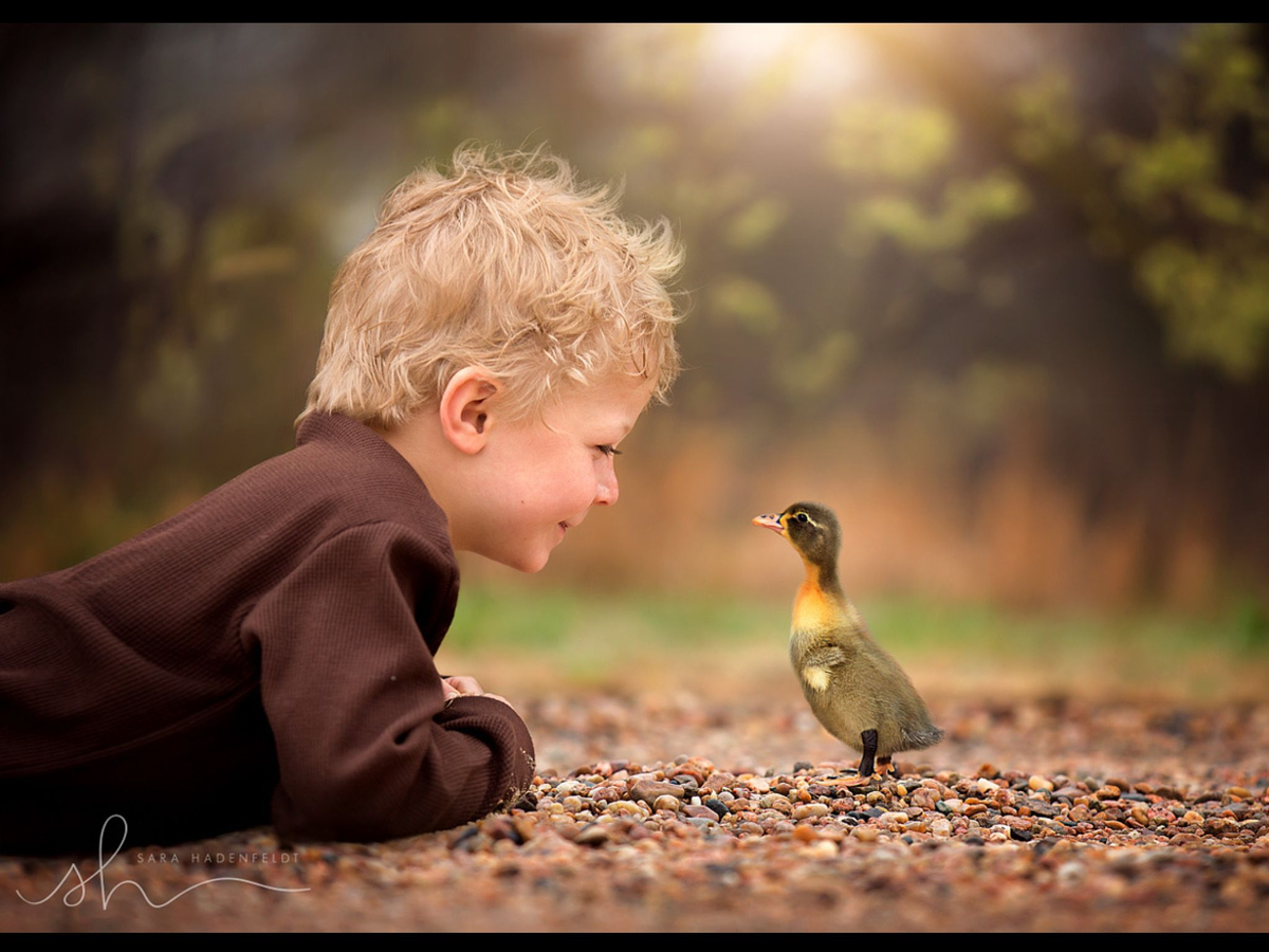 фото Яндекс Картинки