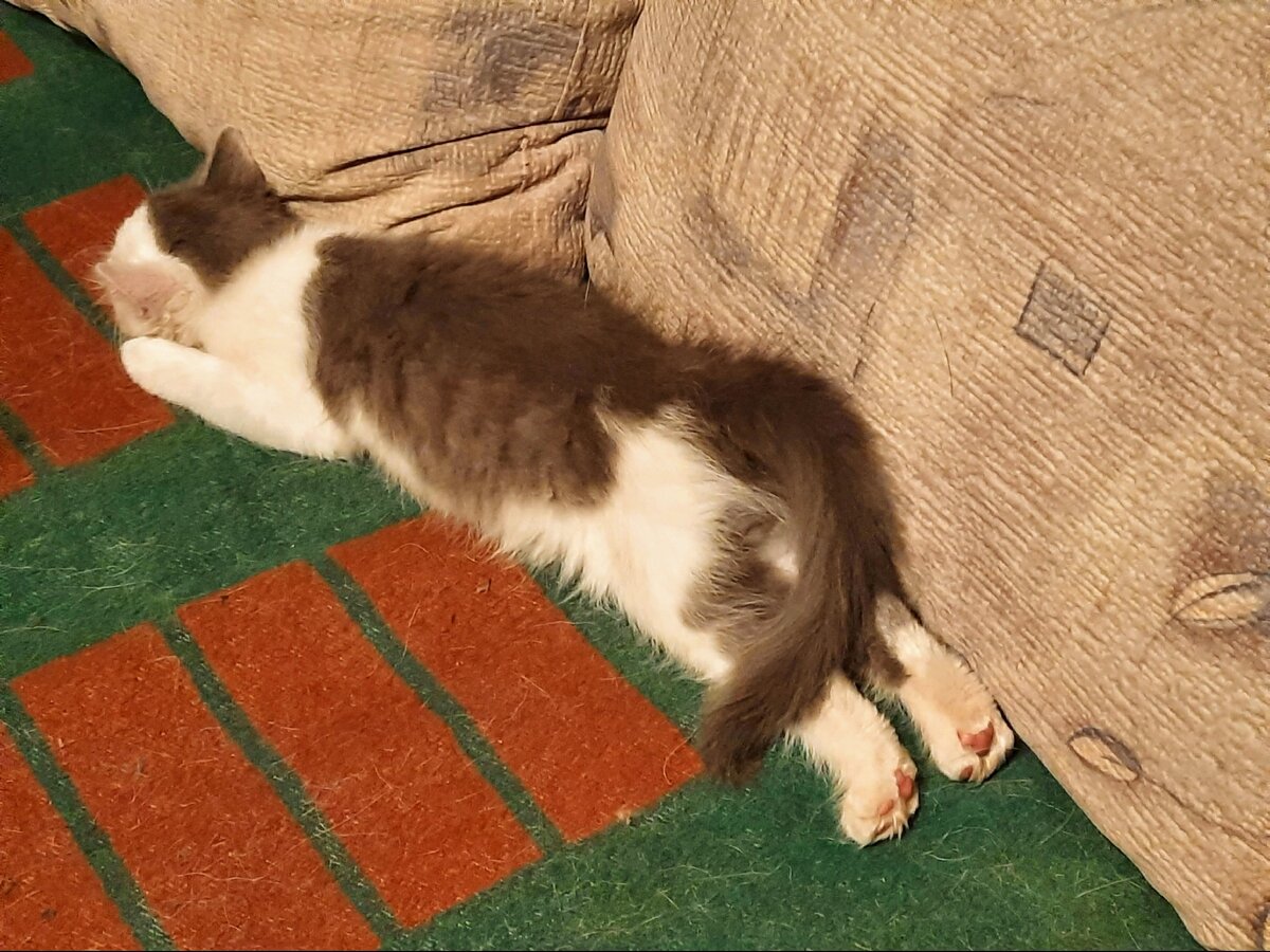 Счастливый " ребёнок"