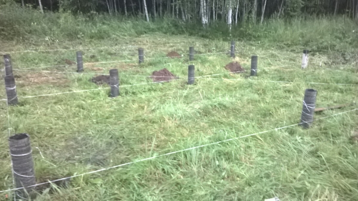 Так называемое свайное поле из гильз