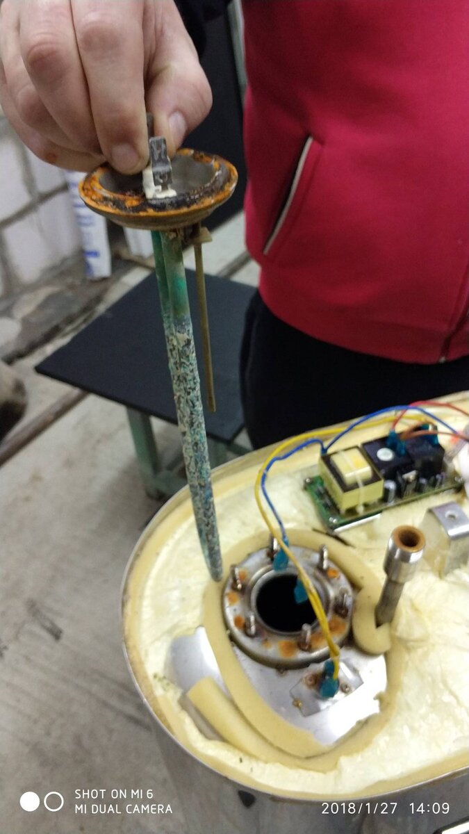 Фото автора