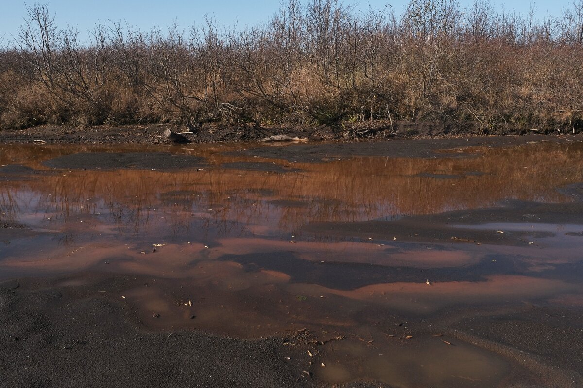 Камчатка. Первая декада октября 2020. Фото предоставлено Географическим факультетом МГУ им. М.В. Ломоносова