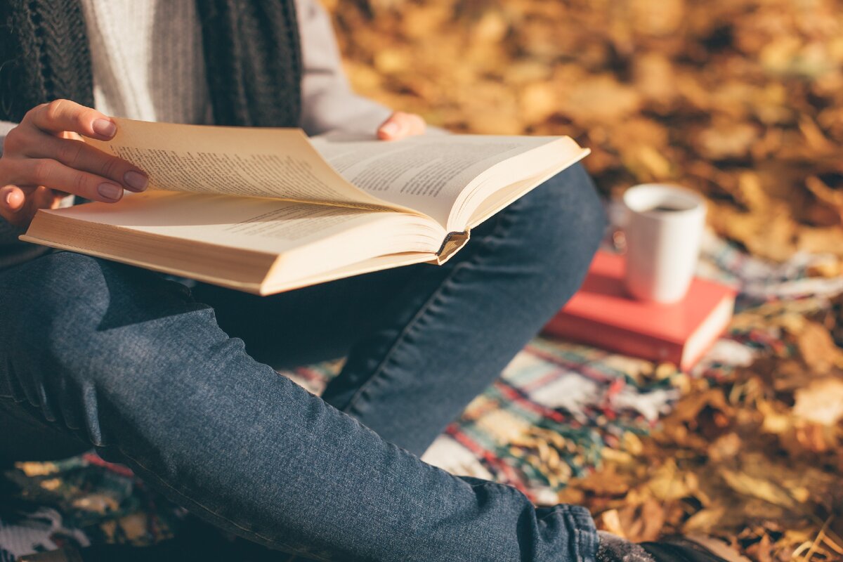 X reading. Чтение книги стоковый фон. Reading in a Blanket. Book reading in University 4k. Should reading.
