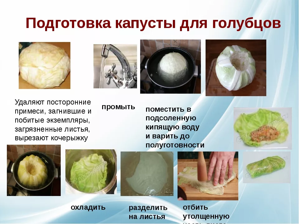 Технологическая карта голубцы с мясом и рисом полуфабрикат