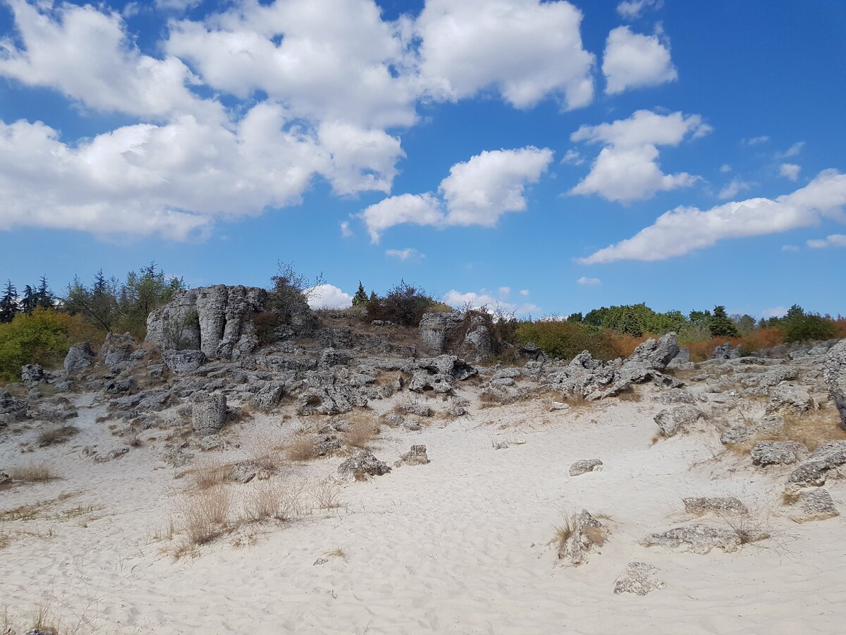 Волшебный каменный лес🌳