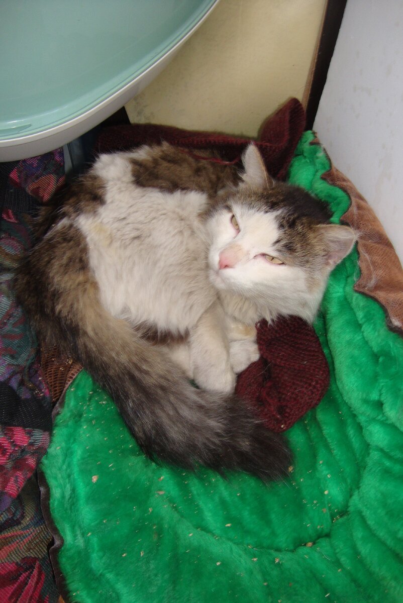 Только что с улицы и в некотором недоумении. 