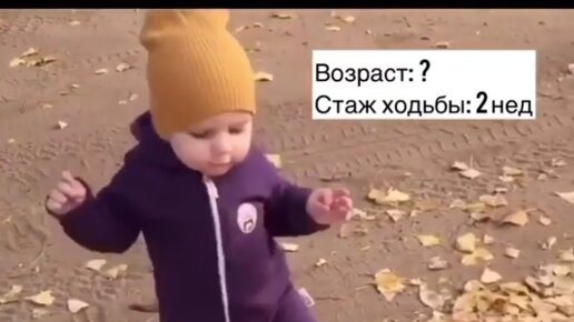 Индивидуальное видео-поздравление