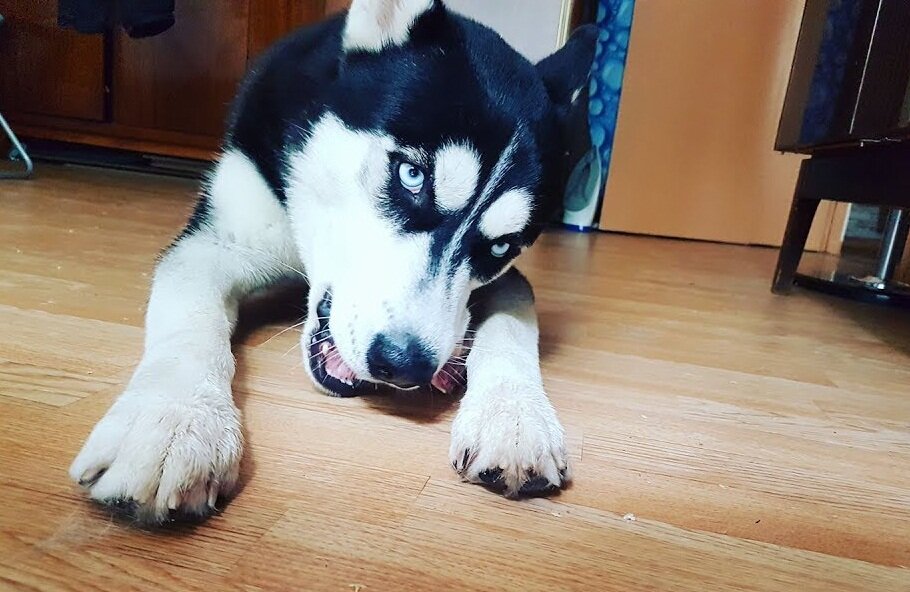 Фото: https://www.youtube.com/watch?v=w_shtx1PYfg