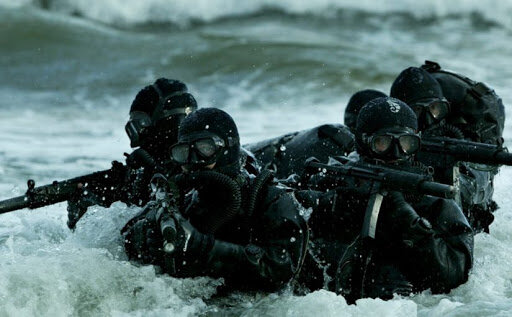 Боевые пловцы - везде боевые пловцы