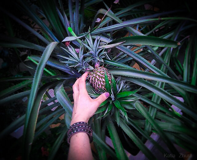 На 2й фото как раз кофе.)