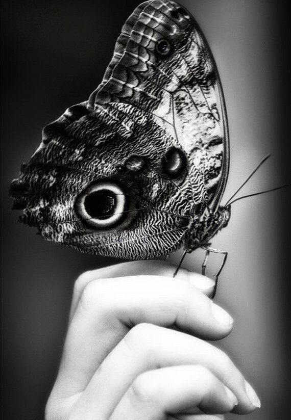 Благодарность нужно заслужить!