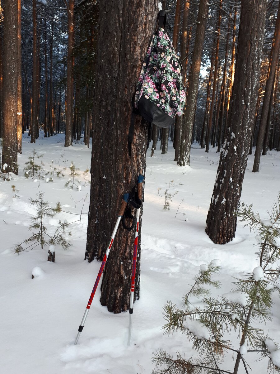 Фото Т. Вороновой