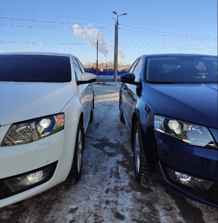 Слева - Skoda Octavia A7 чешской сборки, справа - российской. Обе с моторами 1.4 TSI 140 л.с., и роботом DSG-7.