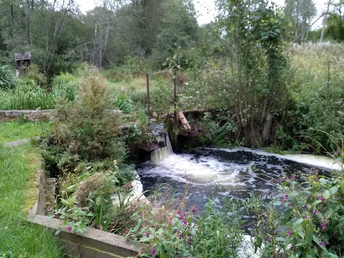 Внутренний дворик 