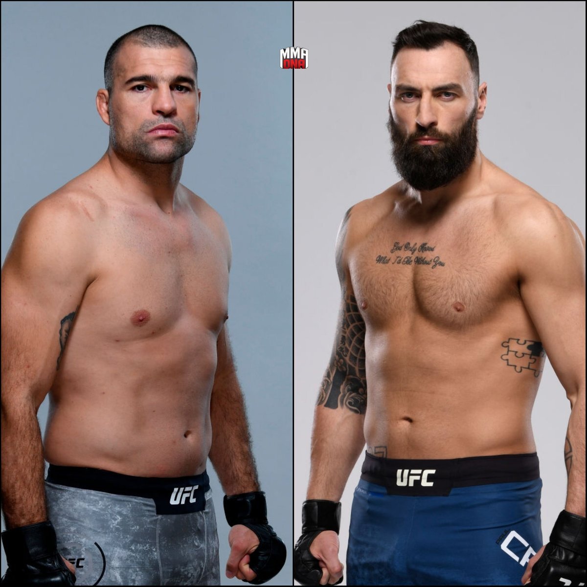 Два очень серьезных  бойца.  фото: картинки яндекса. 