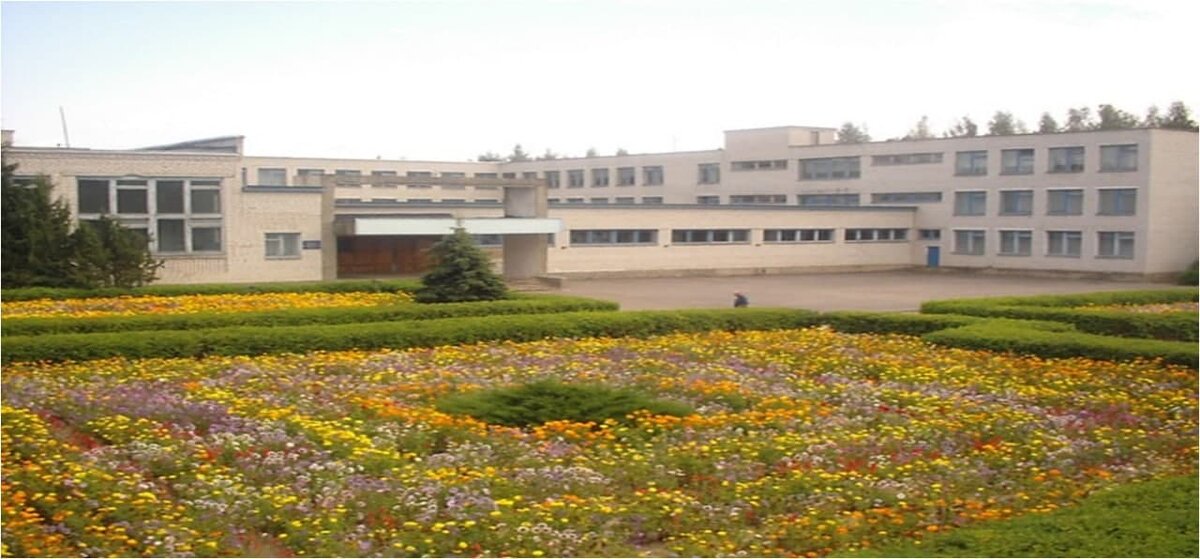 Это фото тех лет, с моими цветниками. А там в кадр попал наш завхоз Володя Кузьмич)Современному директору не нравится это фото, потому что окна ещё старые