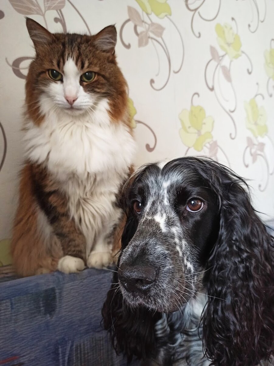 Наши Зока и Шаня