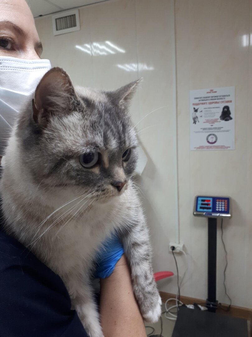 Мася в тепле после улицы