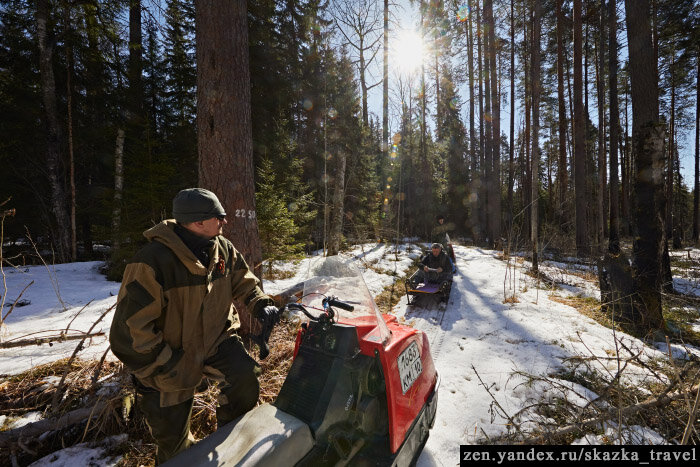 Едем на снегоходе в заповедник