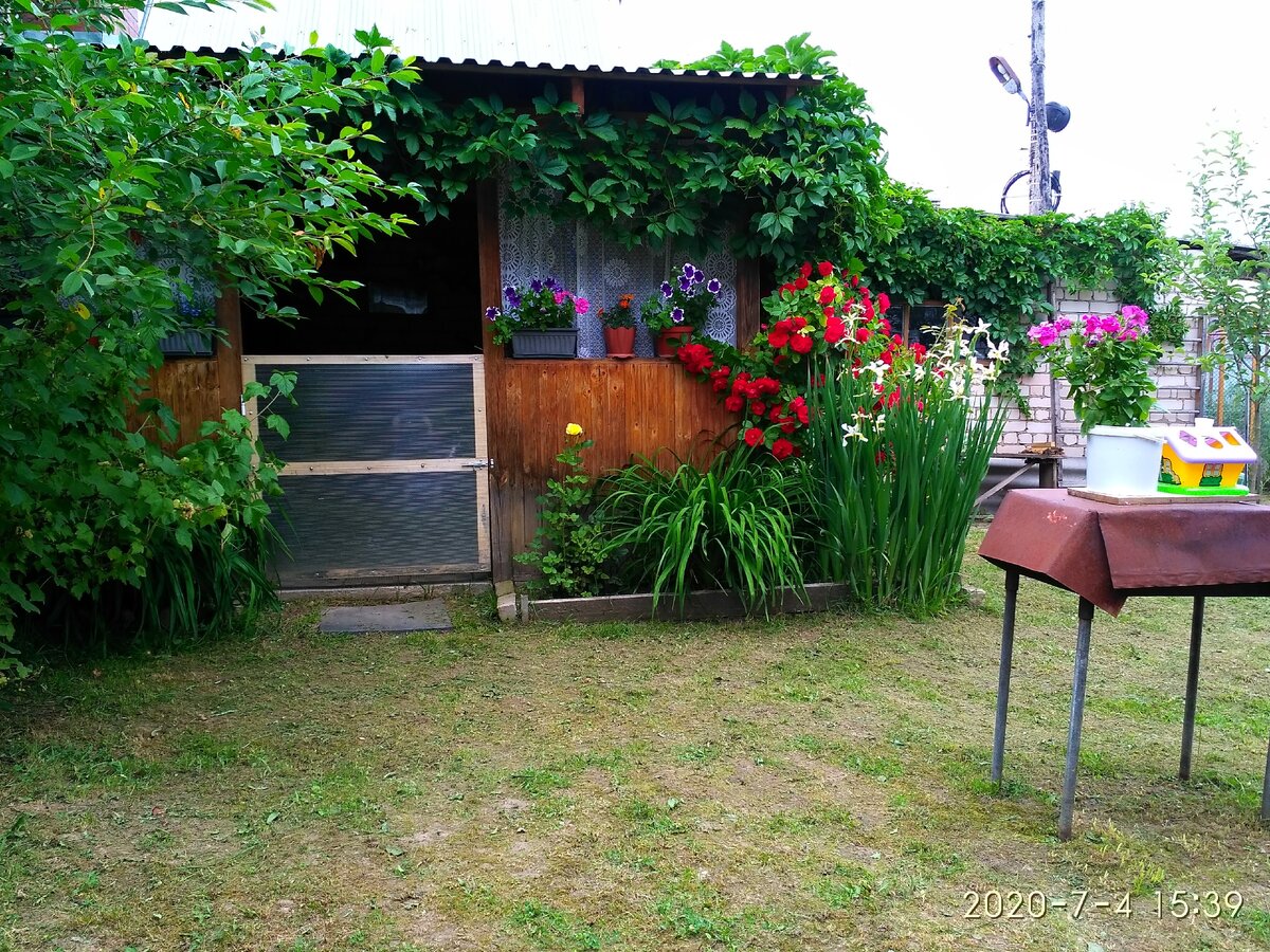 Центр притяжения. Фото автора.