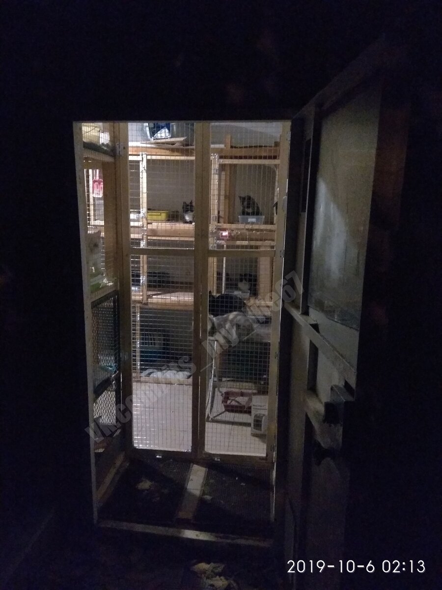 Тамбур ещё без плёнки
