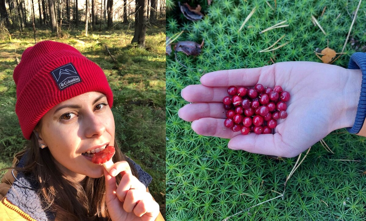 Сыроежка и брусника