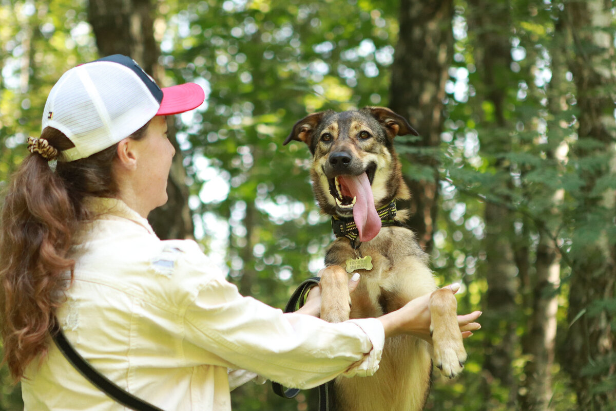 Никогда она не бывает грустной или обиженной. Это настоящая семейная, уютная собака!