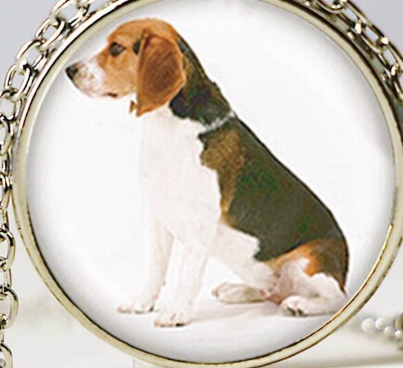 Фото с сервиса Яндекс картинки для иллюстрации