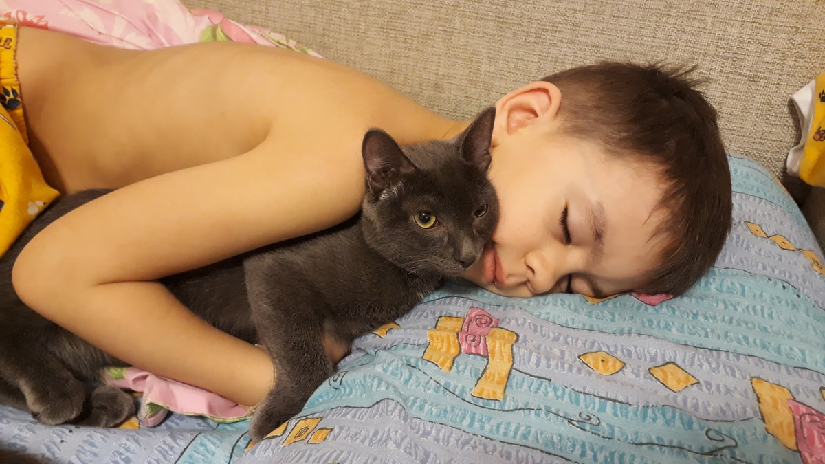 Сын и кот)