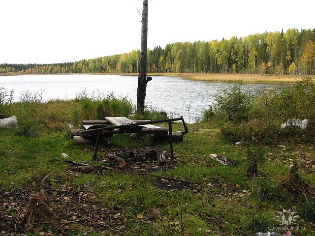 Типичный северный пейзаж. Фото автора