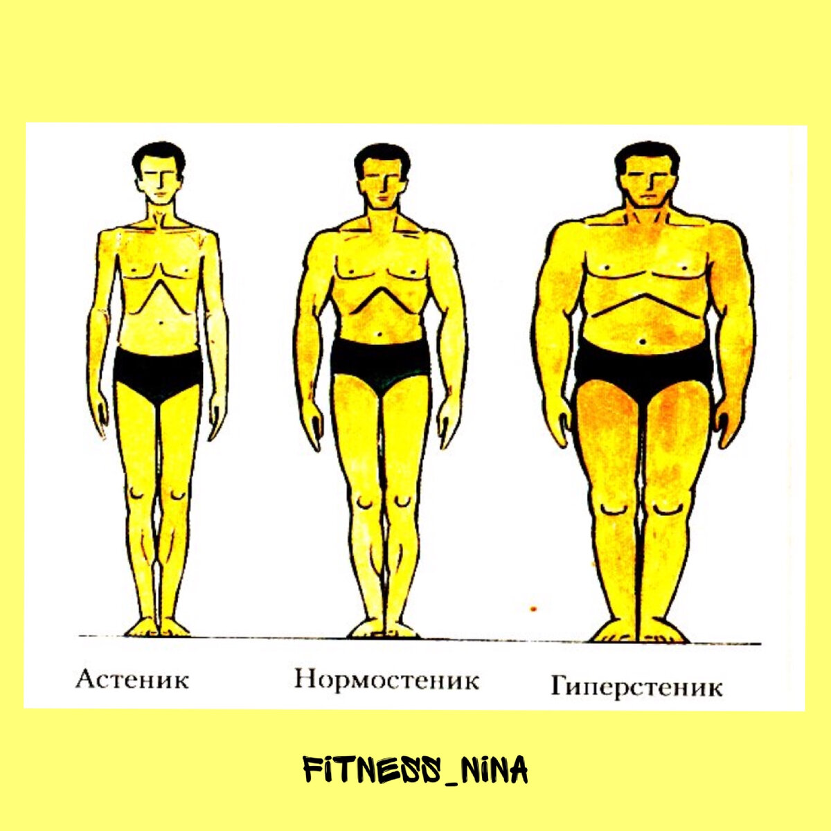 Астеническое телосложение. Типы телосложения астенический нормостенический и гиперстенический. Типы телосложения астеник.нормостеник.гиперстеник. Астеник гиперстеник нормостеник характер. Нормостеник Тип телосложения у мужчин.